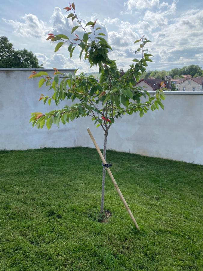 Olga Chambre D'Hote Verdun-sur-Meuse Ngoại thất bức ảnh